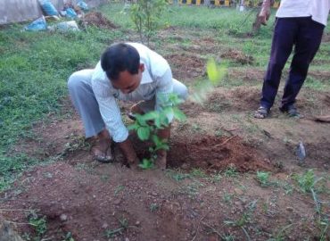 जवाहर नवोदय विद्यालय, मुण्डली ने मनाया  विश्व पर्यावरण दिवस