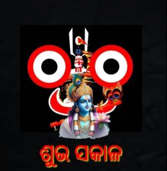 भगवान जगन्नाथ के दर्शन से संबंधित आवश्यक जानकारियां: